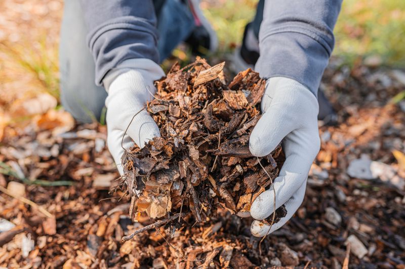 Cost of Mulch Installation — Cost of Mulch Installation