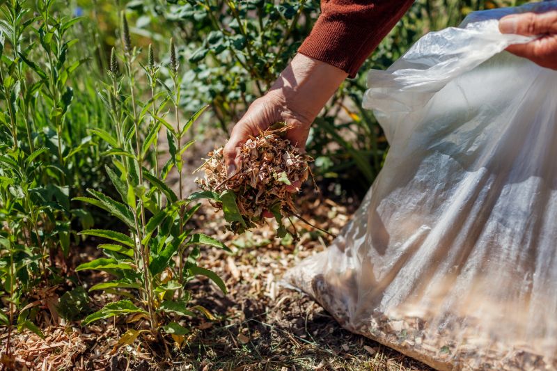 Cost of Mulch Installation — Cost of Mulch Installation