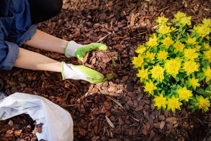 Cost of Mulch Installation — Cost of Mulch Installation
