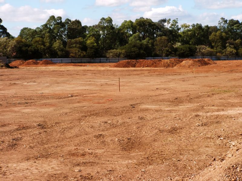 Preparation and Site Conditions