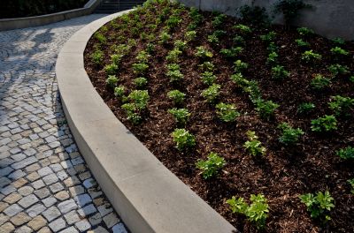 Mulch helps retain soil moisture, reducing the need for frequent watering and aiding in plant hydration.