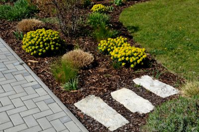 Mulch acts as a natural weed barrier, preventing weed growth by limiting sunlight exposure to weed seeds.